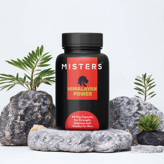 Misters Himalayan Power